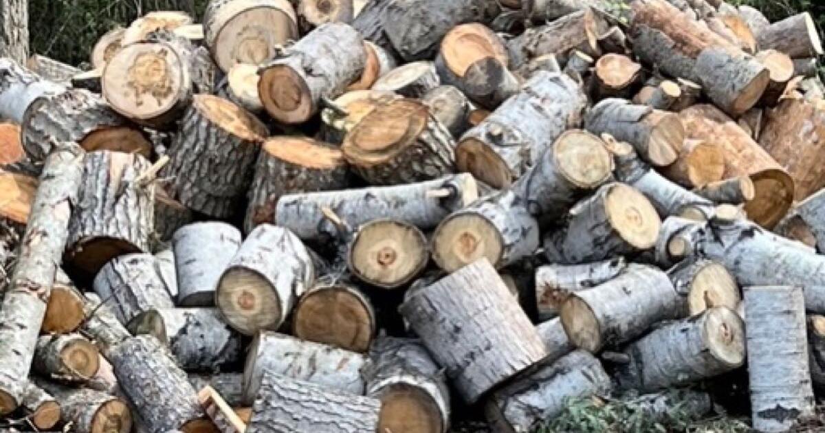 Firewood in Mead, WA For Sale & Free — Nextdoor
