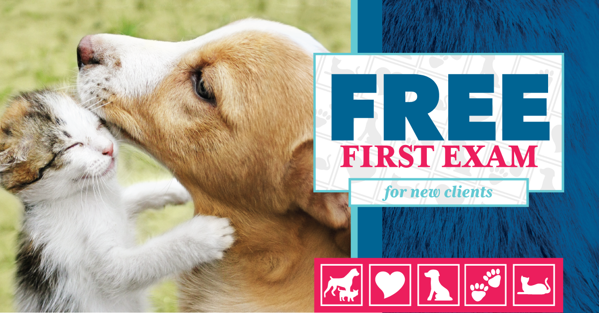 Crossroads Animal Hospital Zion Crossroads, VA Nextdoor