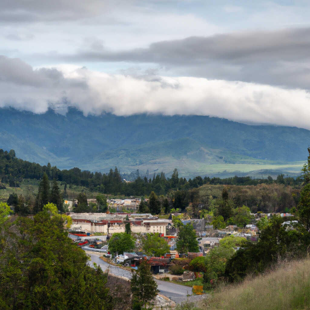 Bald Rock, Berry Creek News, Crime, Lost Pets, Free Stuff