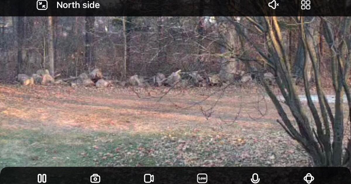 Free firewood for Free in Thornville, OH For Sale & Free — Nextdoor