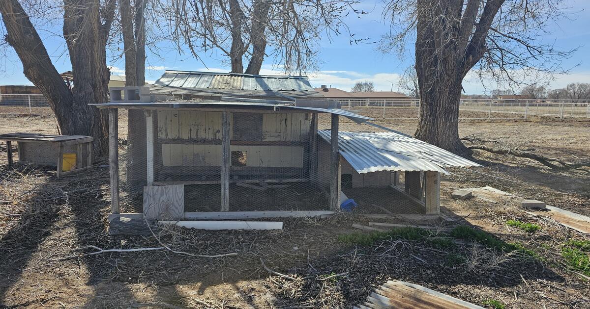 FREE FIREWOOD & Chicken Coup (Los Lunas NM) for Free in Los Lunas, NM