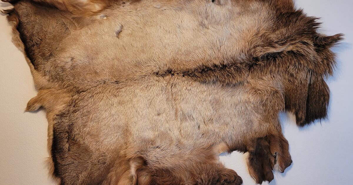 Vintage Animal Hide/Wall Hanging/Rug for 450 in Allen, TX For Sale