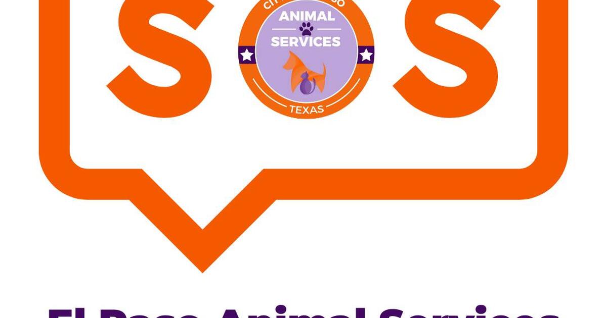 El Paso We Need Your Help Nextdoor