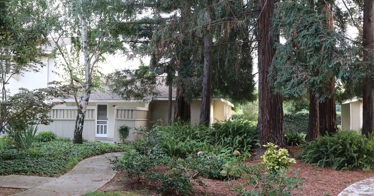 For Rent Sunnyvale 2 BDR Condo 3350 for 3350 in Cupertino, CA For