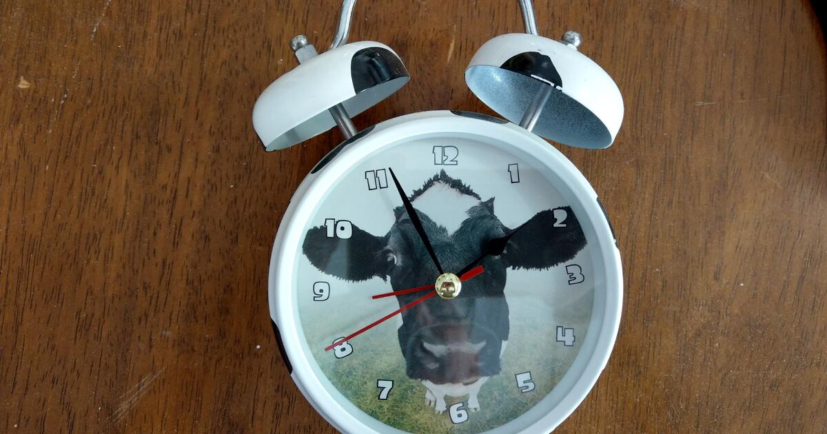 Free Cow Alarm Clock for Free in TX Finds — Nextdoor