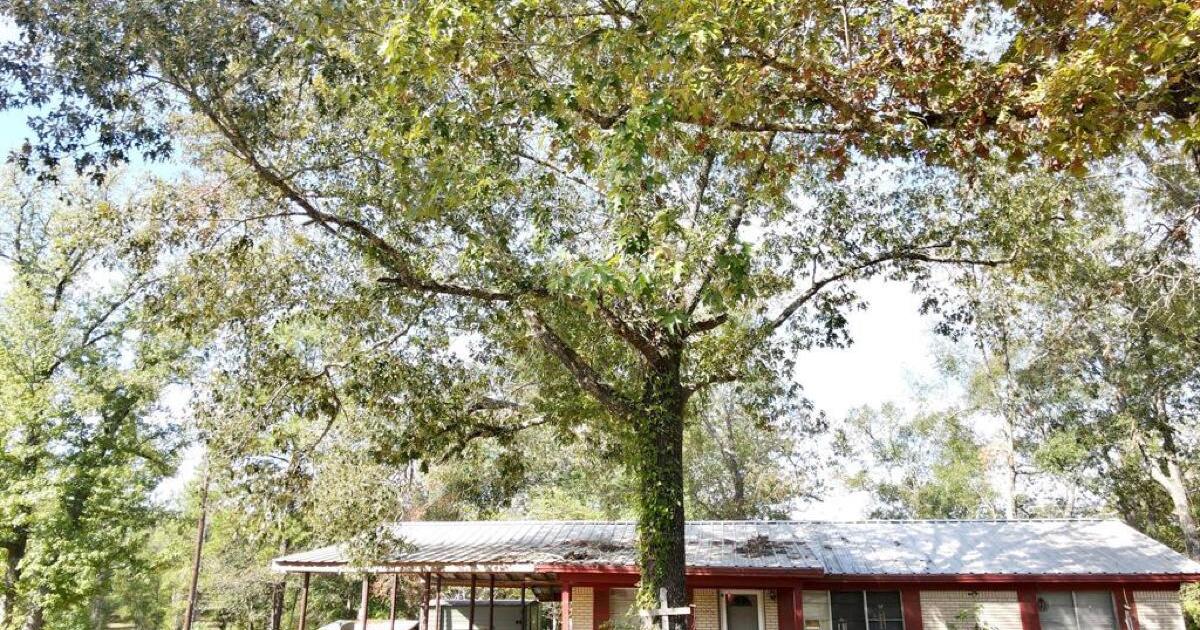 East Texas House for Sale 1.88 acres for 125000 in Spring, TX For