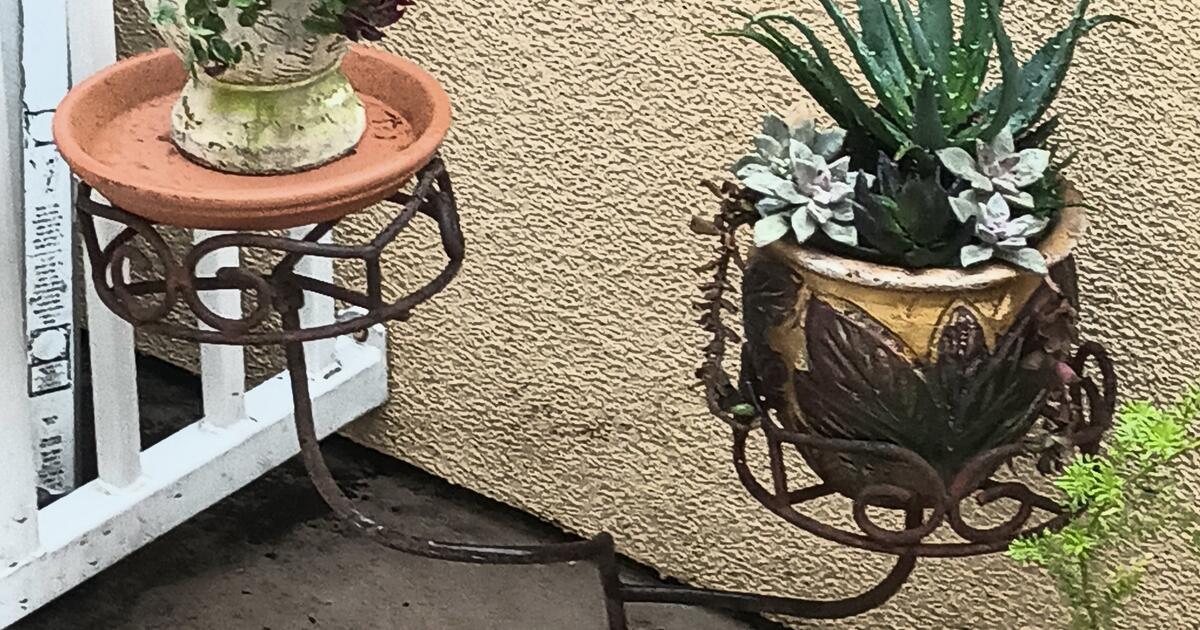 Vintage Rustic Cast Iron Plant Holder for 18 in Sonoma, CA For Sale