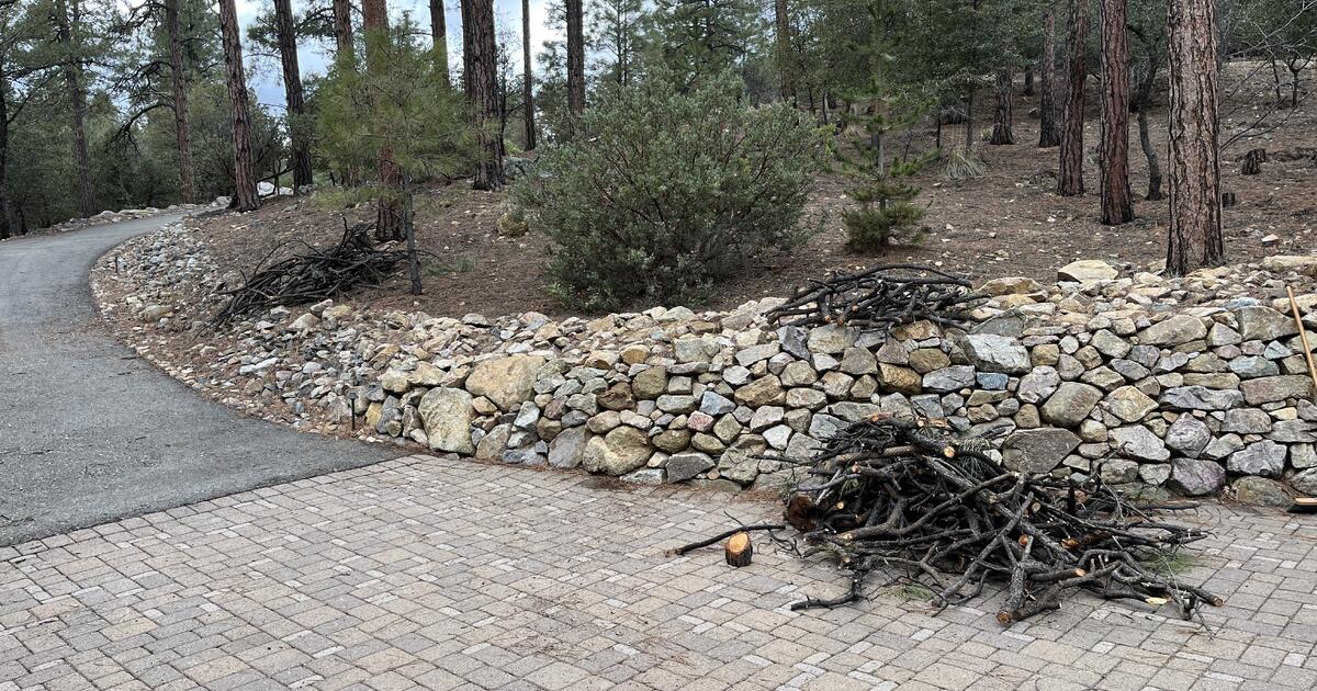 Free freshly taken down Ponderosa Pine Firewood. for Free in Prescott