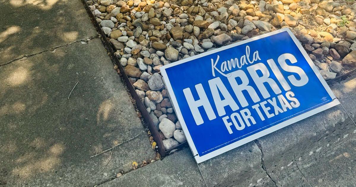 Kamala for texas yard sign for free in austin tx for sale free