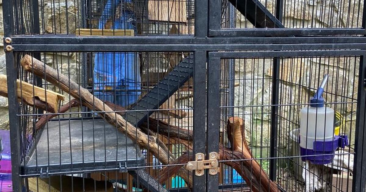 Multiple small pet cages for sale! for 25 in Austin, TX For Sale