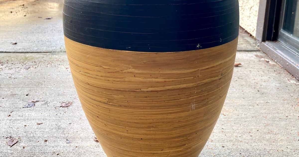 Black & Bamboo Vase for 8 in Walnut Creek, CA Finds — Nextdoor