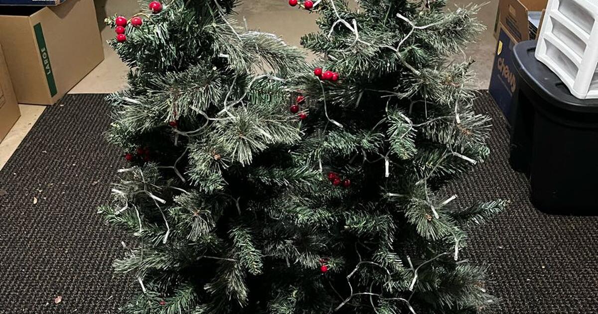 Small Christmas trees, battery operated. for 15 in Greeley, CO For