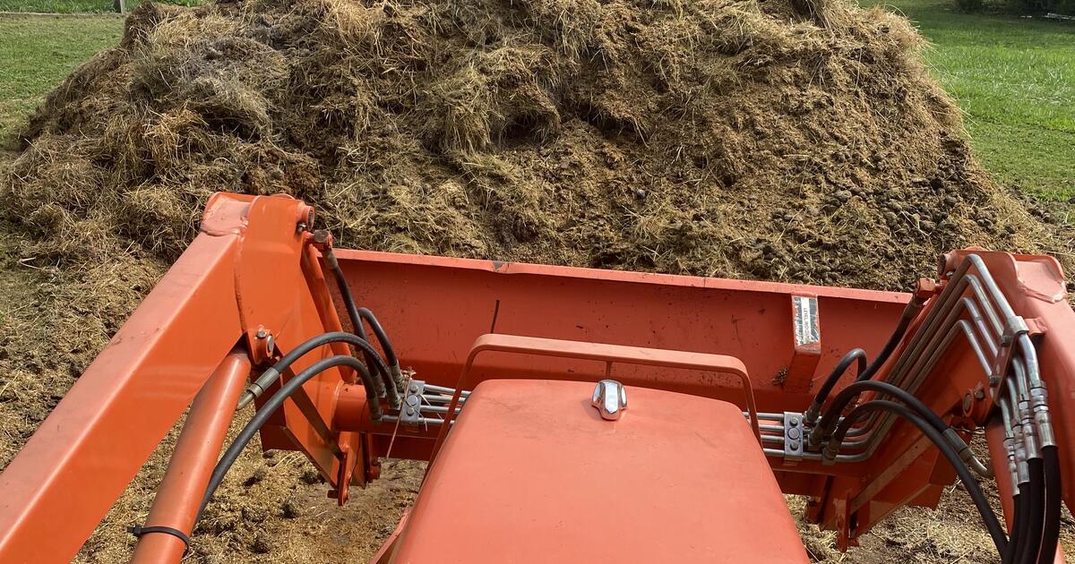 Horse in Monrovia, MD For Sale & Free — Nextdoor