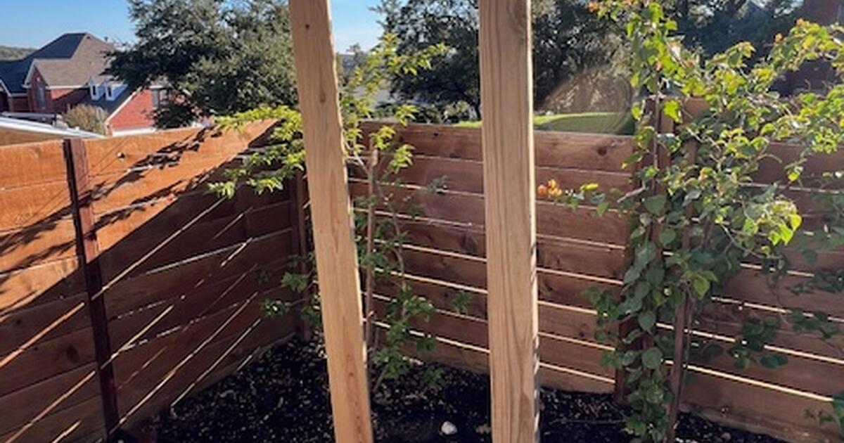 2x4 posts in 5 gal Home Depot buckets for Free in Austin, TX For Sale
