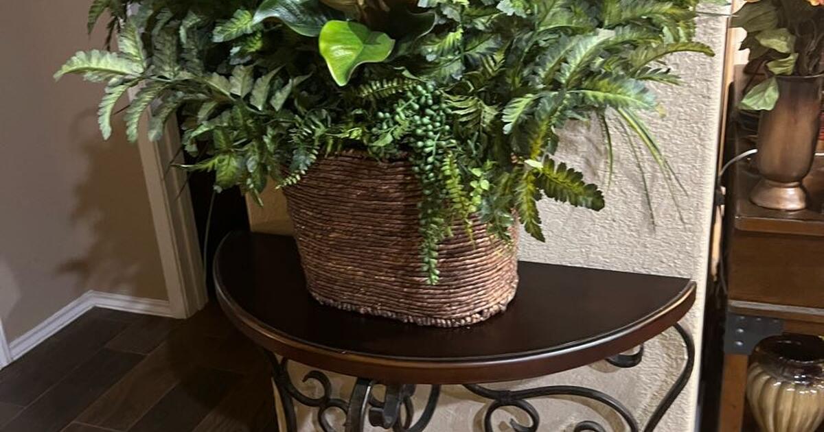 Table, plant, pots for 315 in San Antonio, TX For Sale & Free — Nextdoor