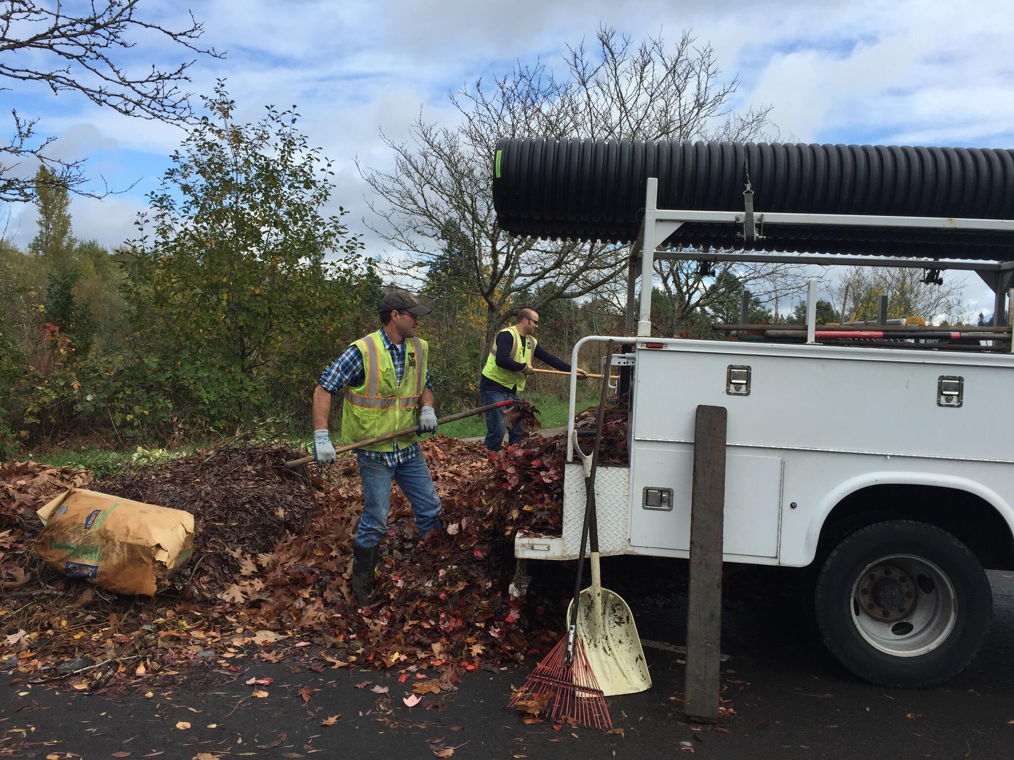 Tigard Free Leaf Disposal and Food Drive (City of Tigard) — Nextdoor ...