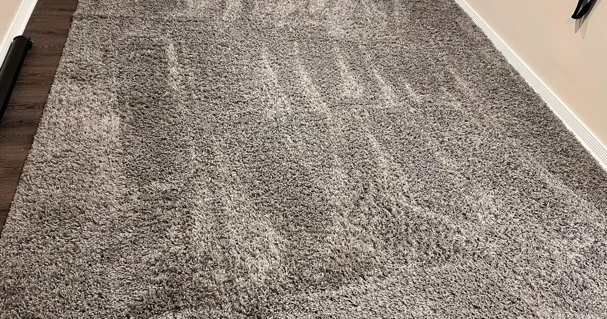 Area rug (13x10) for Free in Baltimore, MD Finds — Nextdoor
