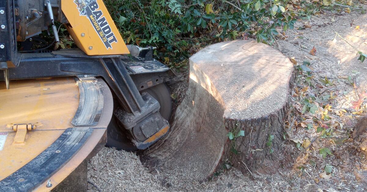 Stump Grinder for Free in Lawrenceville, GA For Sale & Free — Nextdoor