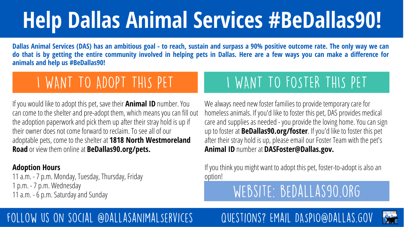 Do you know me? (Dallas Animal Services & Adoption Center) — Nextdoor ...