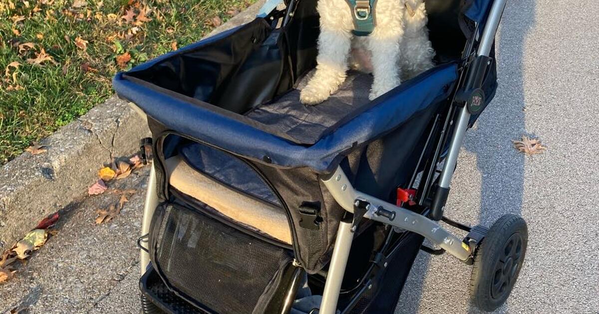 Pet stroller - Pet Rover for $59 in Lexington, KY | For Sale & Free