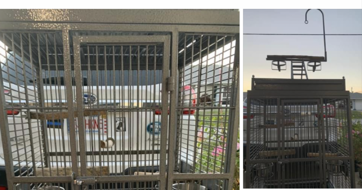 Bird cages for $125 in Port Charlotte, FL | For Sale & Free — Nextdoor