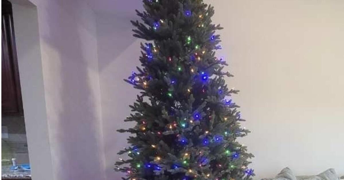 Stow & Grow Aspen Christmas Tree (MSRP 7001200) for 350 in Rocklin