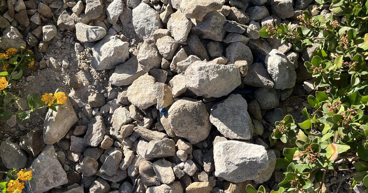 Free landscaping rocks for Free in Henderson, NV | For Sale & Free ...