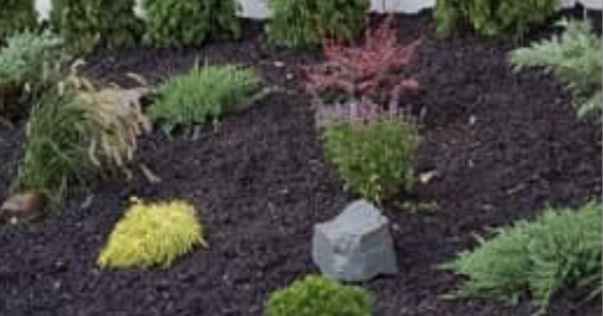 Landscaping for Free in Edison, NJ Finds — Nextdoor