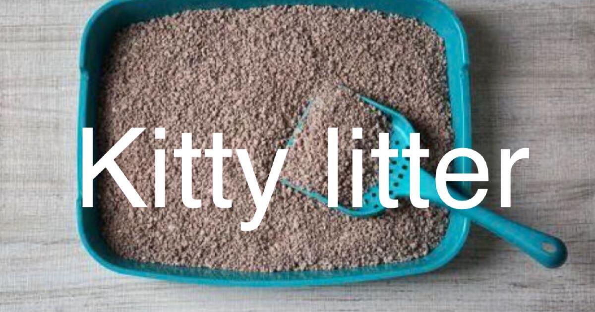 In search of unused Cat litter kitty litter will pick up for Free in