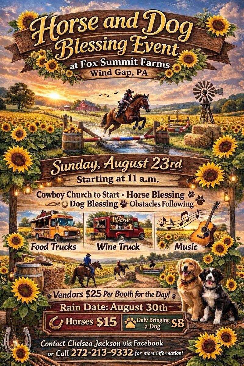 Walnut Hills/Windy Knob, Bethlehem | Everything You Need to Know