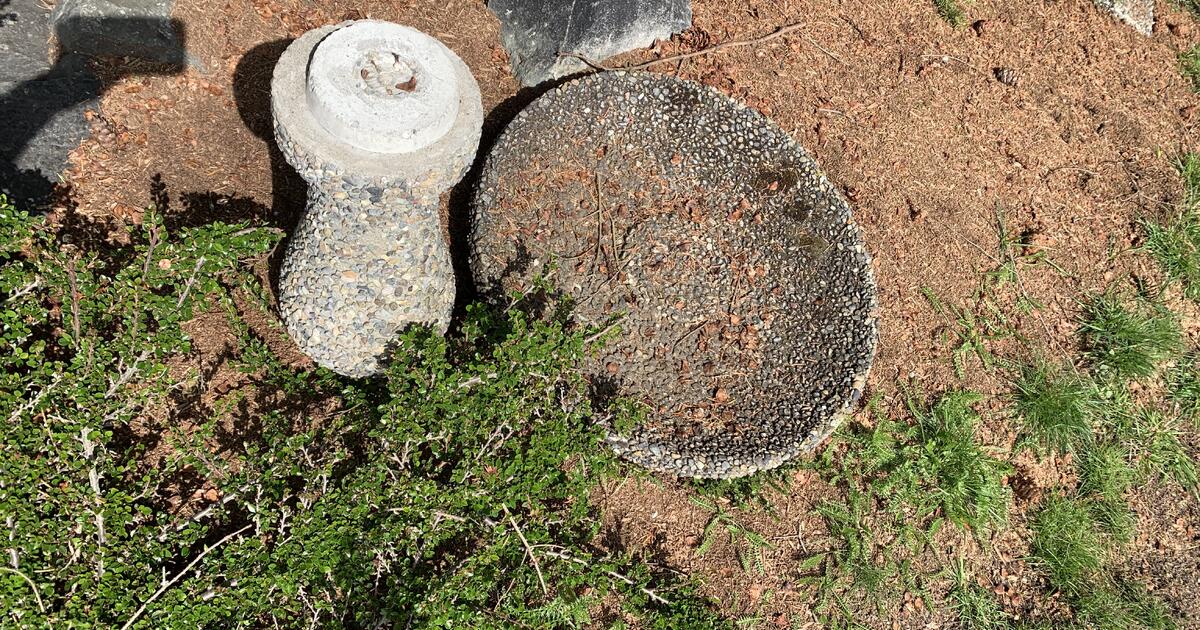 Broken bird bath for Free in Seattle, WA Finds — Nextdoor