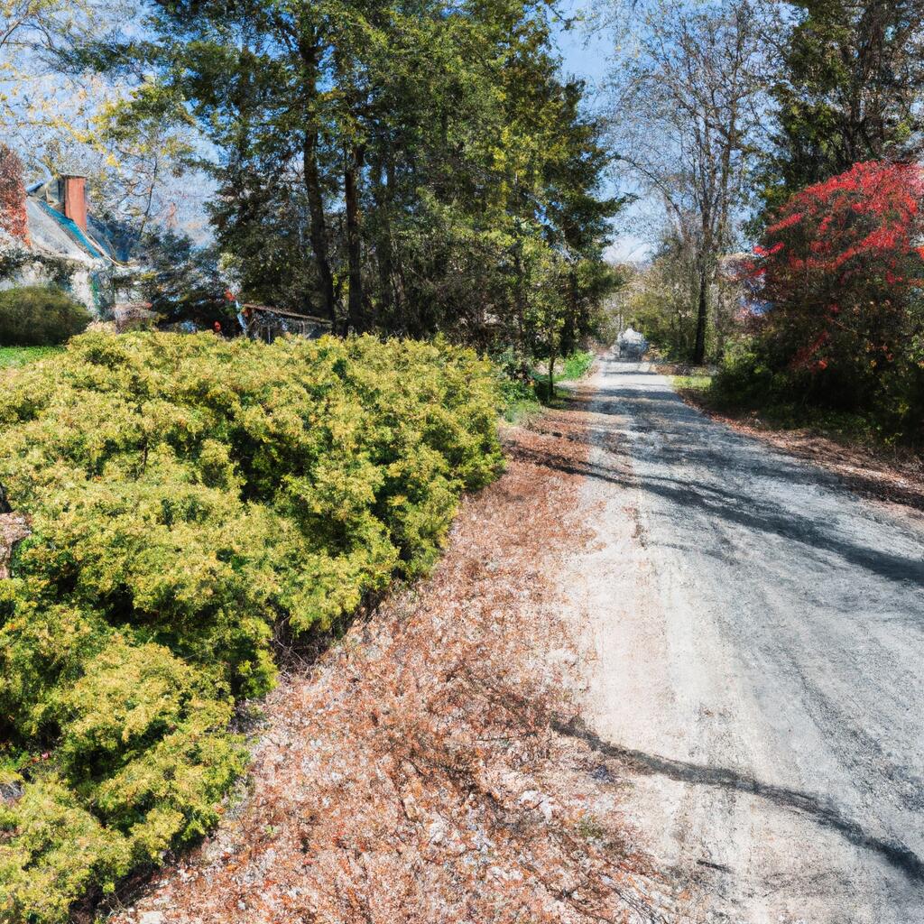 Lindsey Acres, North Attleboro News, Crime, Lost Pets, Free Stuff