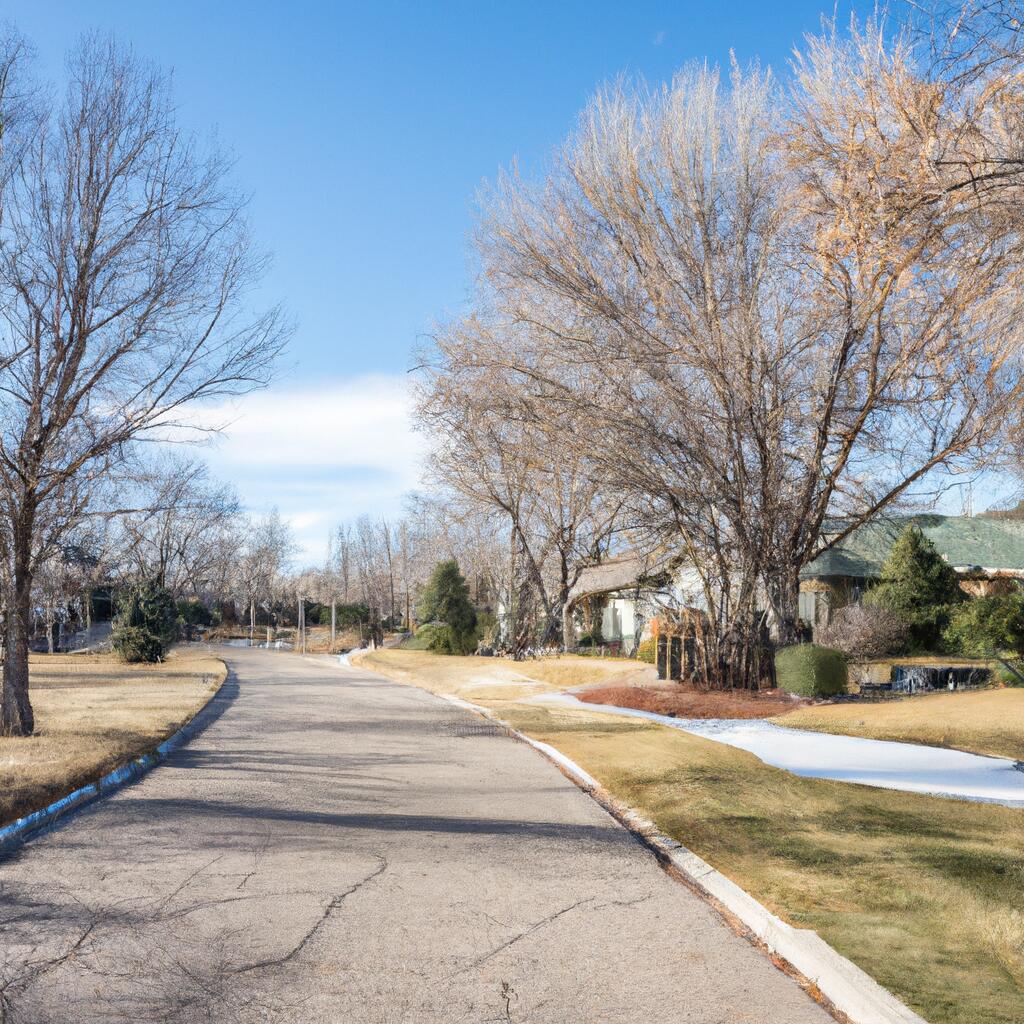 Meadowood, Aurora News, Crime, Lost Pets, Free Stuff