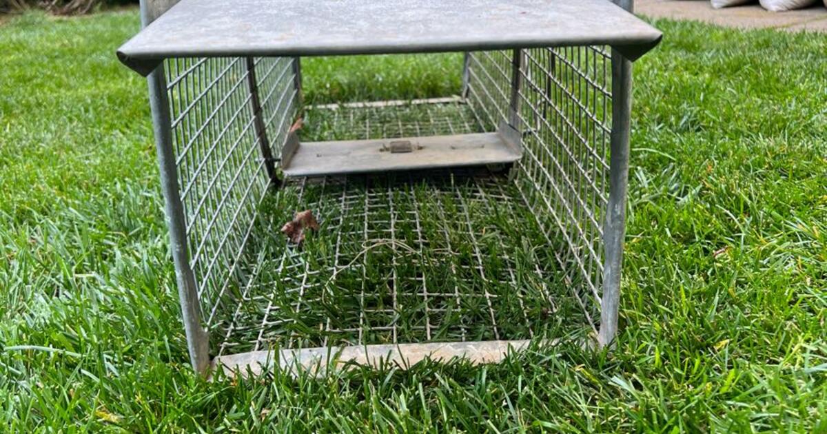 Animal Trap - Critter Catcher 2 Door for $18 in Oakland, CA | For Sale ...