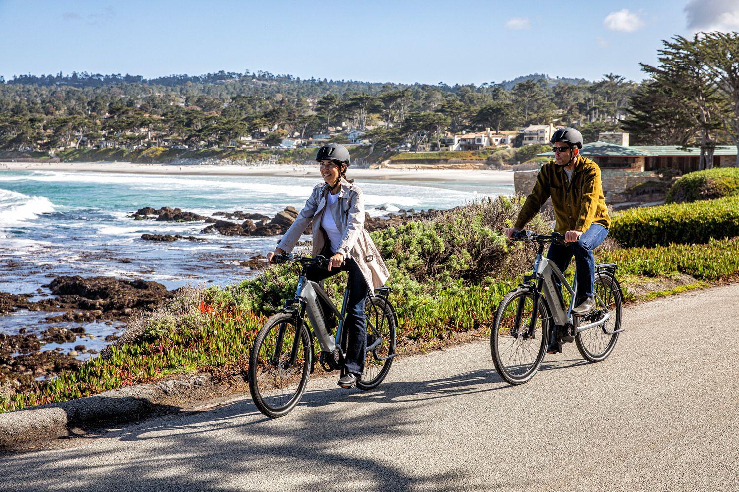 zoom electric bicycle Mokwheel Asphalt E-Bike