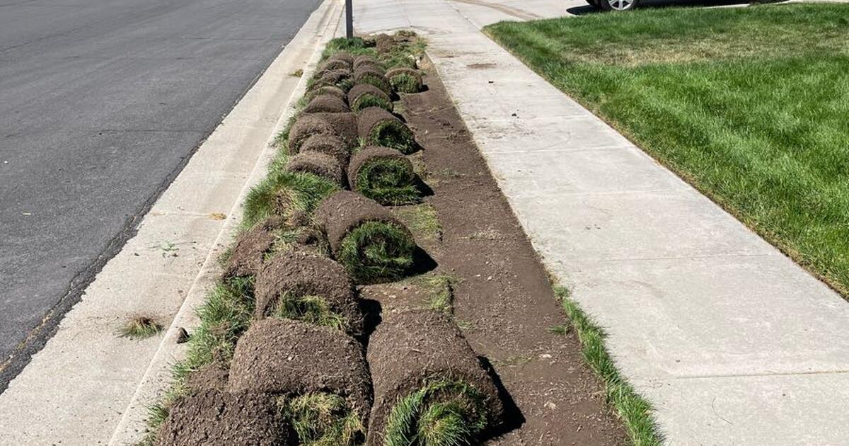 Free Fresh cut sod for Free in Sandy, UT Finds — Nextdoor