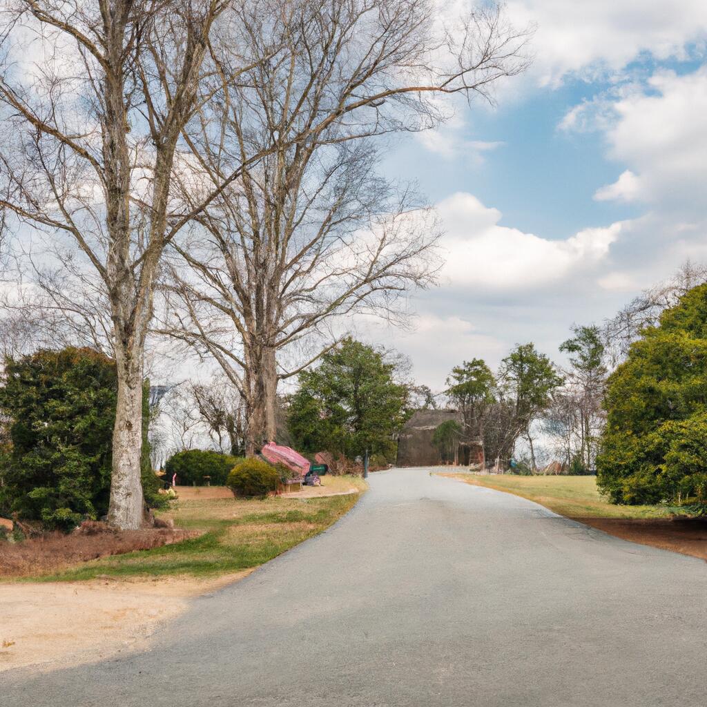 Caravel Farms, Bear News, Crime, Lost Pets, Free Stuff