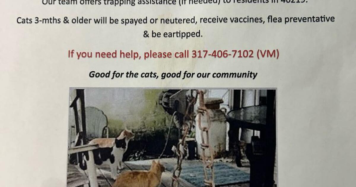Spay Neuter For Outside Community Cats In 46219 Zip Code For Free In spay-neuter-for-outside-community-cats-in-46219-zip-code-for-free-in