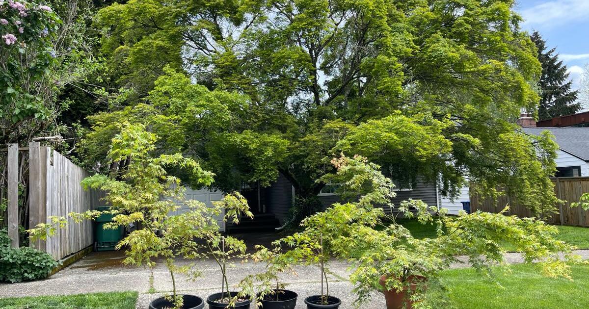 Is Street Parking Free In Seattle