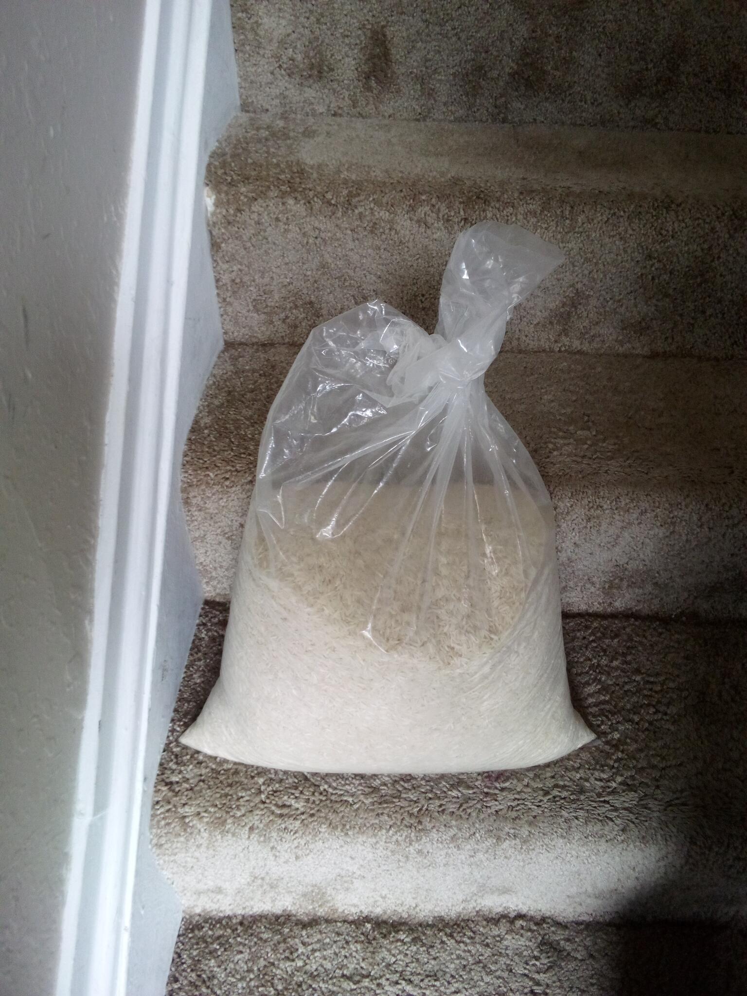 Gigantic unopened bag of rice for Free in Ypsilanti, MI For Sale