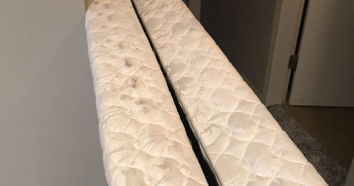 King / extra long twin box springs for Free in Colorado Springs, CO