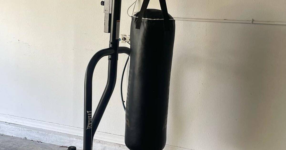 Everlast 100lb. punching bag with stand and speed bag for 150 in