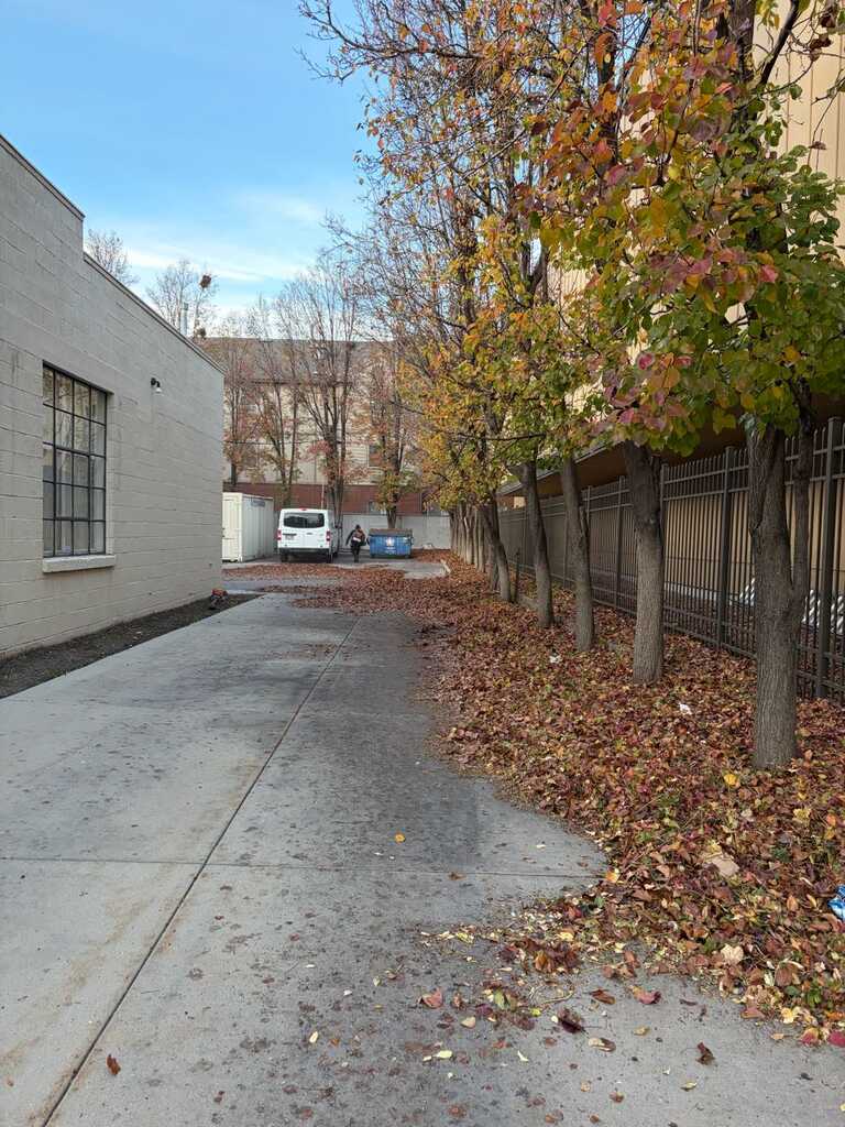 Before: Hi neighbor we still doing fall cleaning if Anybody needs contact me a