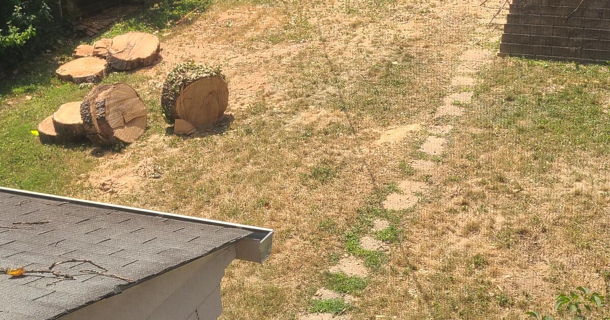 Firewood for Free in Baltimore, MD | For Sale & Free — Nextdoor