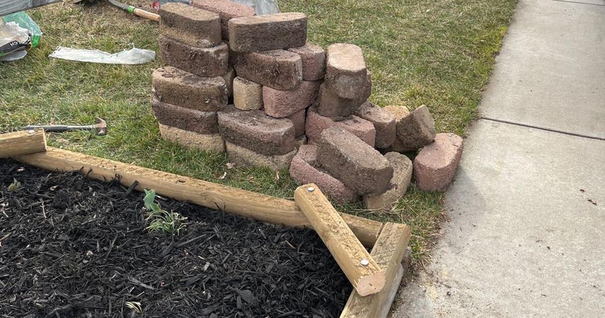 Free Bricks Near Me Scouring Urban Areas for Sustainable Building Materials