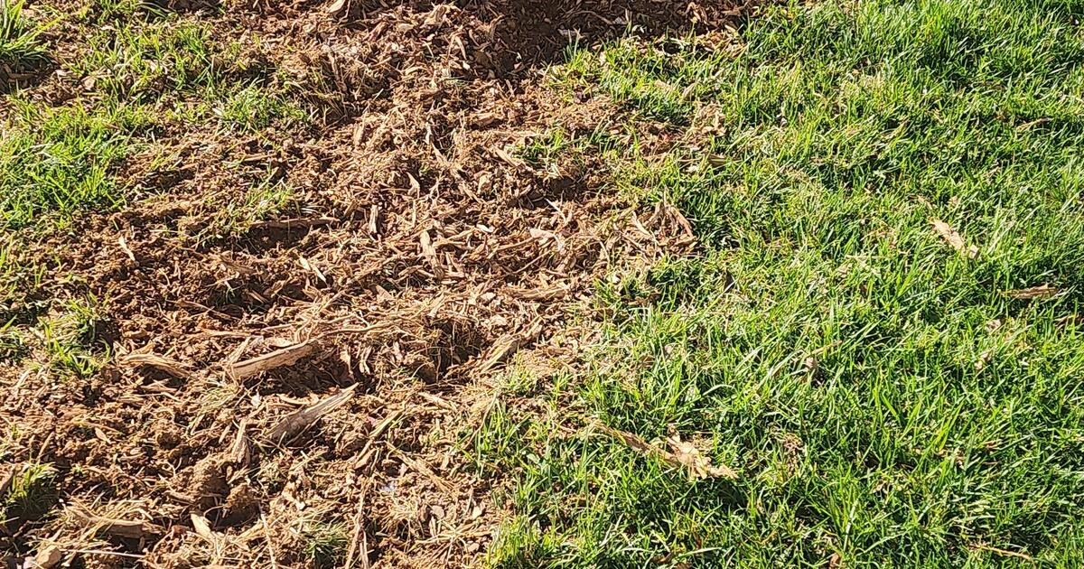 Free Mulch for Free in Charlotte, NC For Sale & Free — Nextdoor