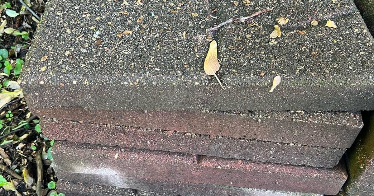 12 Pavers! for Free in Minneapolis, MN For Sale & Free — Nextdoor