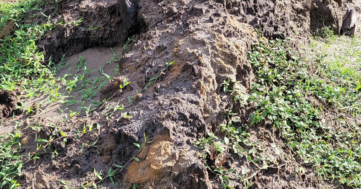 Free Fill/Dirt for Free in Deland, FL For Sale & Free — Nextdoor