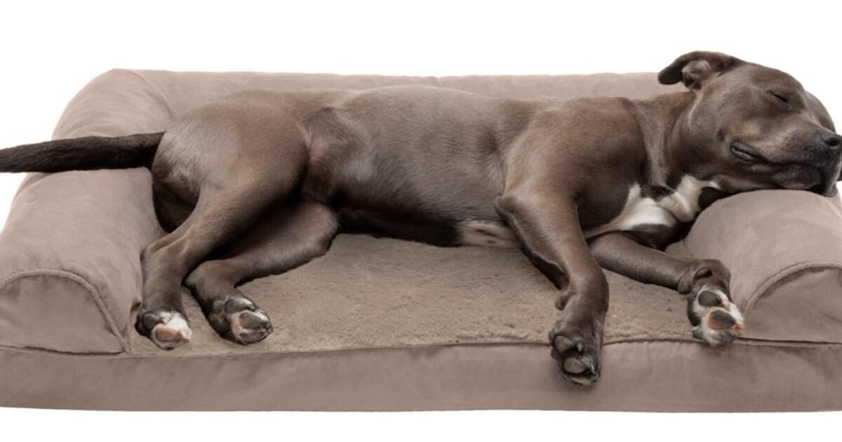 BRAND NEW Furhaven Large Almondine Dog Bed FREE FOR DONATION for Free