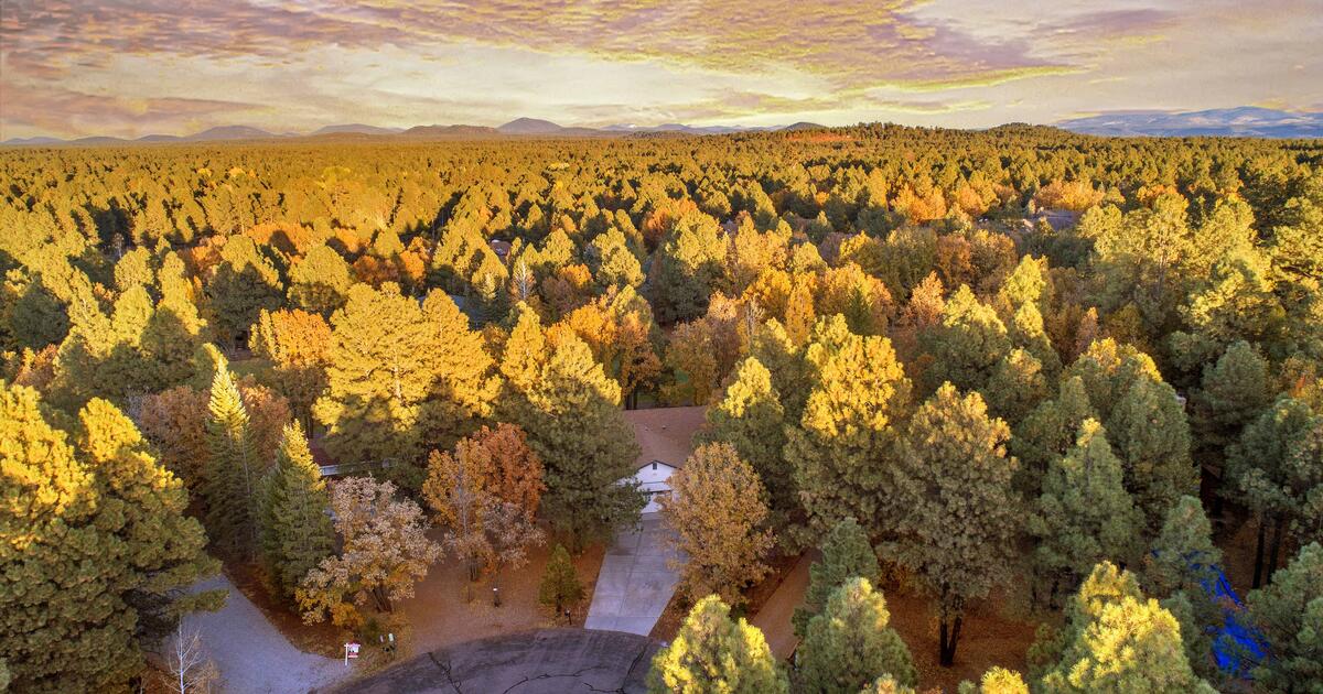 Vrbo Rental In for 175 in Chandler, AZ For Sale & Free